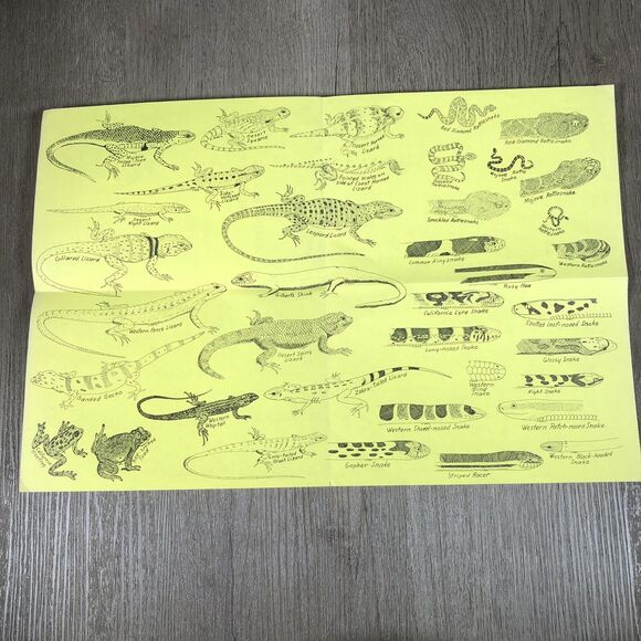 Vintage 1973 AMPHIBIANS AND REPTILES OF Joshua Tree National Monument Mammals - Picture 4 of 4